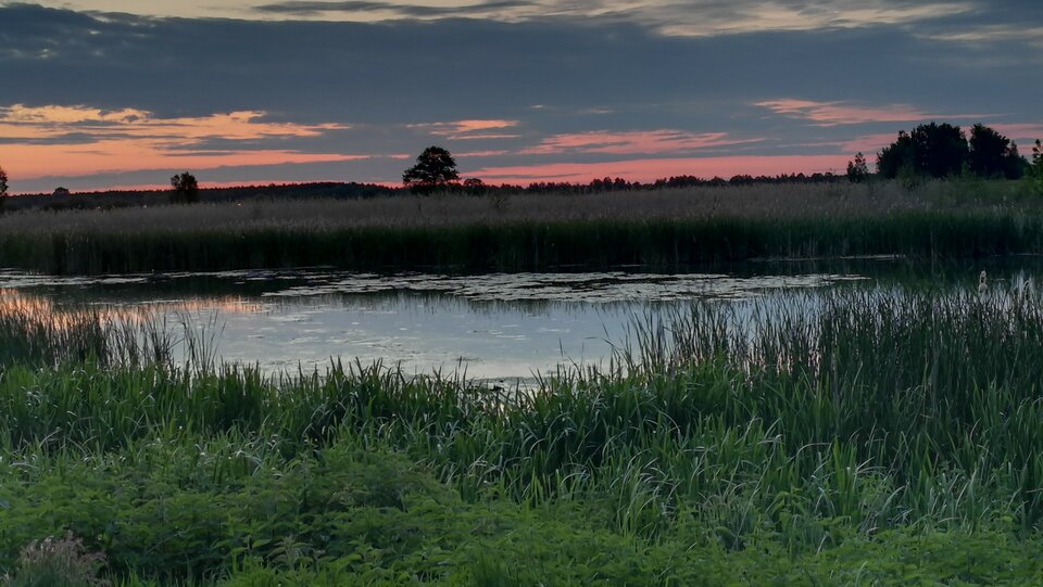 IMG_20200528_211505.jpg - impulss