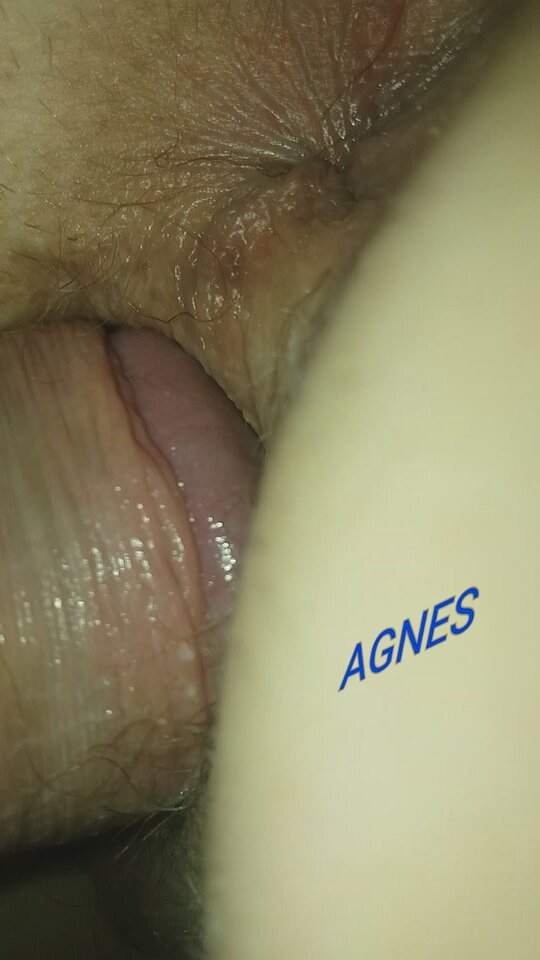 Agnes - agipa