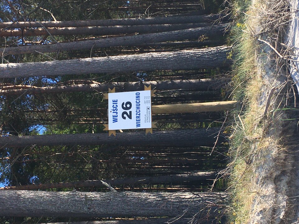 EDABCE34-F269-44B6-8A35-B616AB7C44F1.jpeg - devilooo