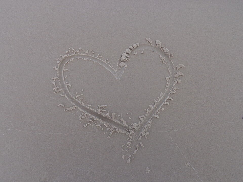 13892284_1270198043004800_3013521909993368729_n.jpg - misiu88991