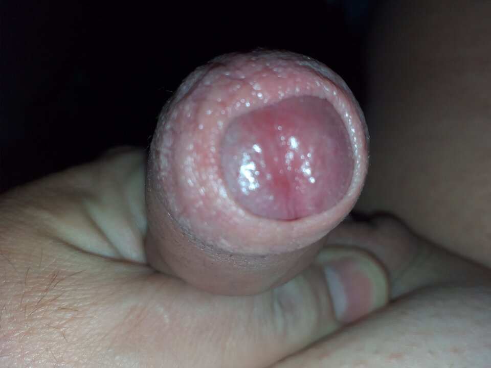 20200531_072647.jpg - robercu