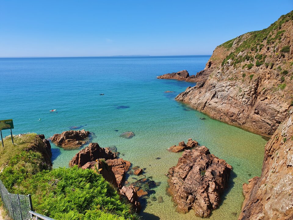 20200530_145630.jpg - Golabek1234