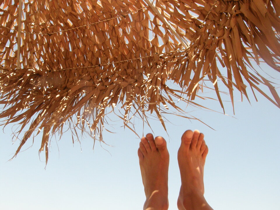 P8110087.JPG - next75