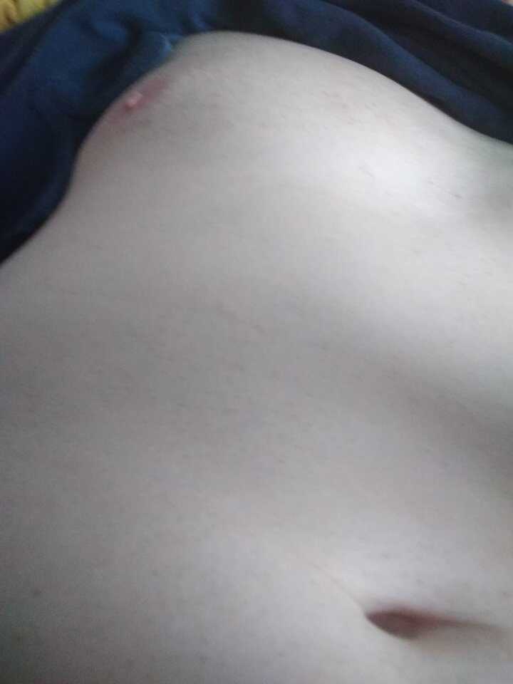 15909280414191585505386819418391.jpg - Palciusia