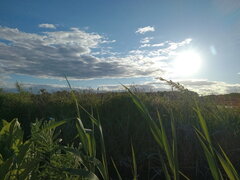 Wspomnienia z weekendu 