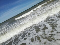 IMG_20200531_140928.jpg
