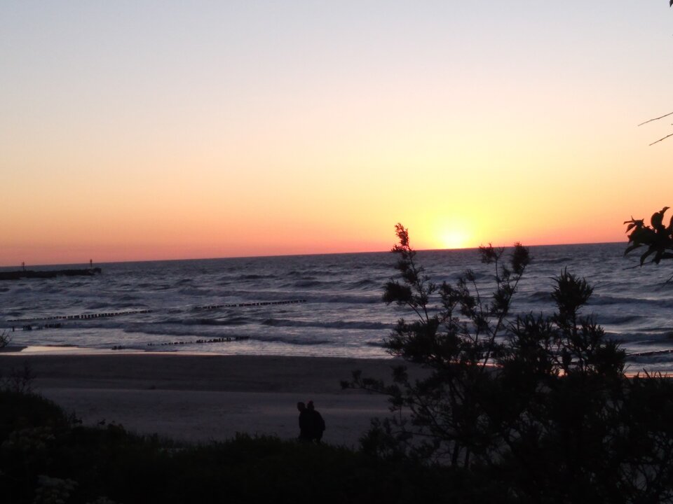 IMG_20200531_211819.jpg - mevia