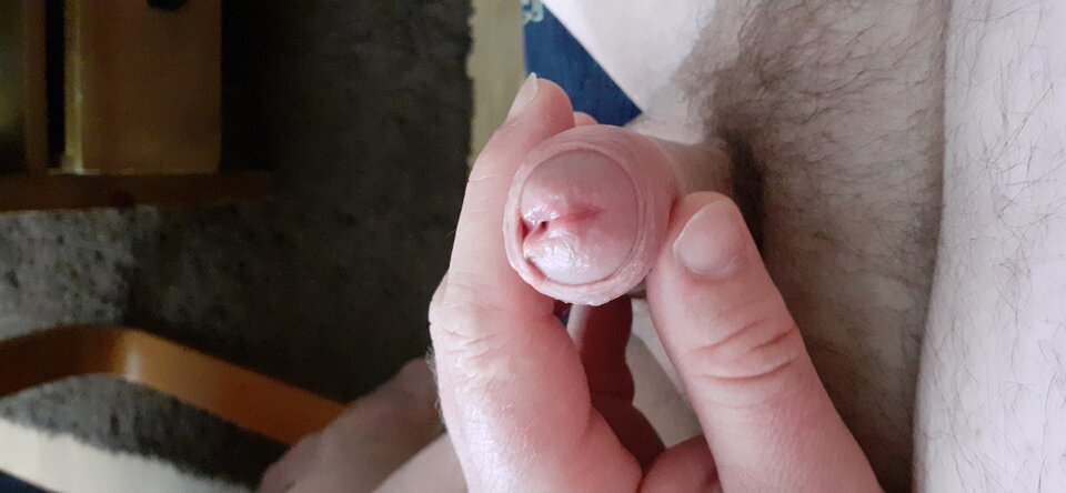 20200601_080237.jpg - michaelmis