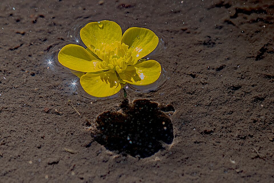 Park pod lupą 2 - mystic