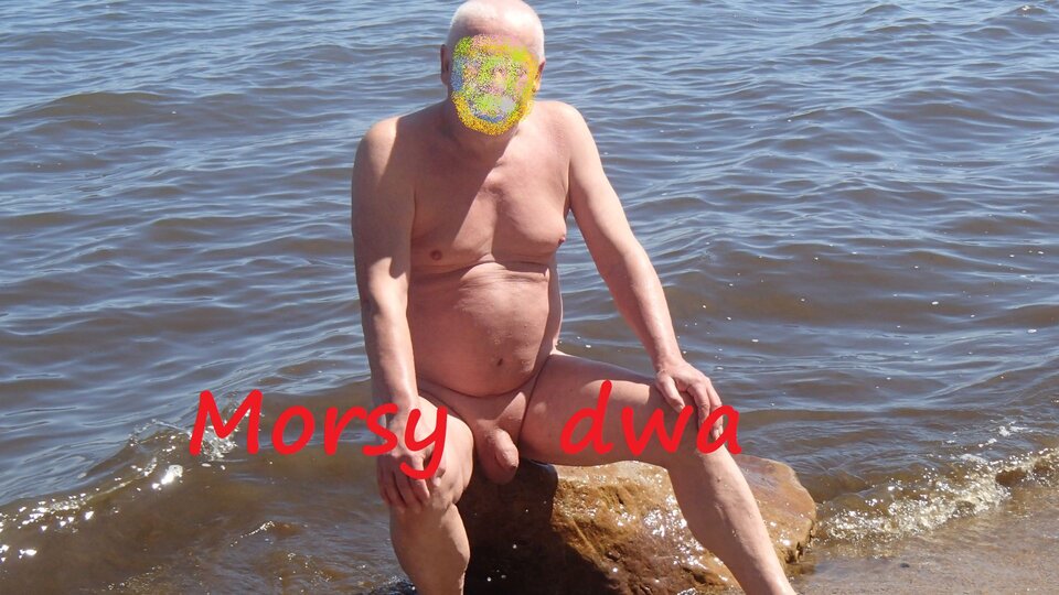 Czy napewno ? - Morsy_dwa