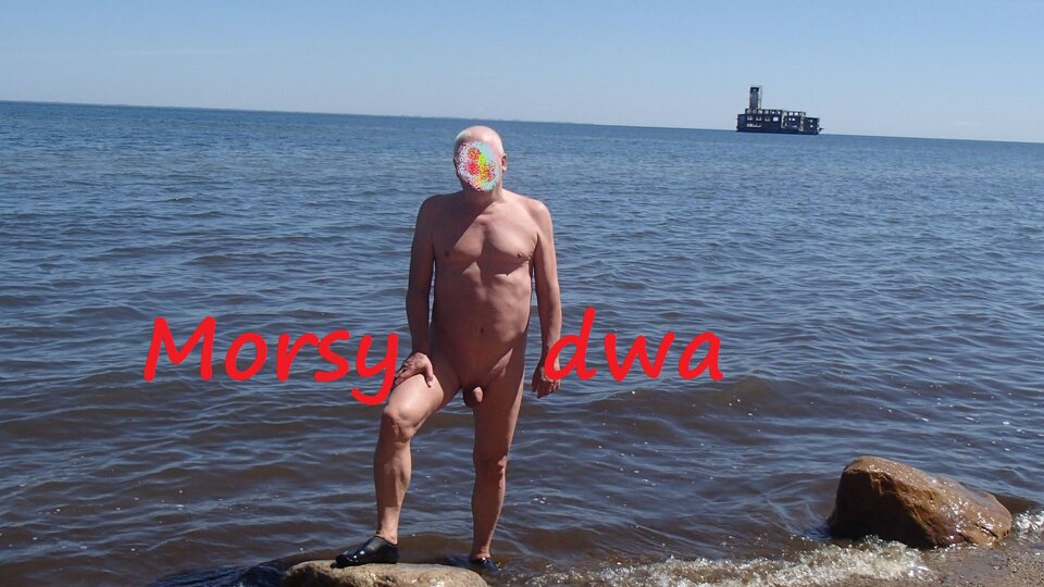 Iść czy zostać? - Morsy_dwa