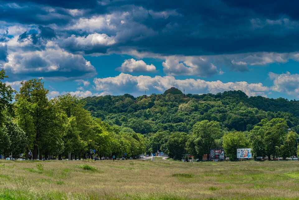 Będzie się działo - mystic