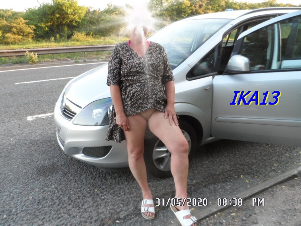 SAM_2618.JPG - ika13