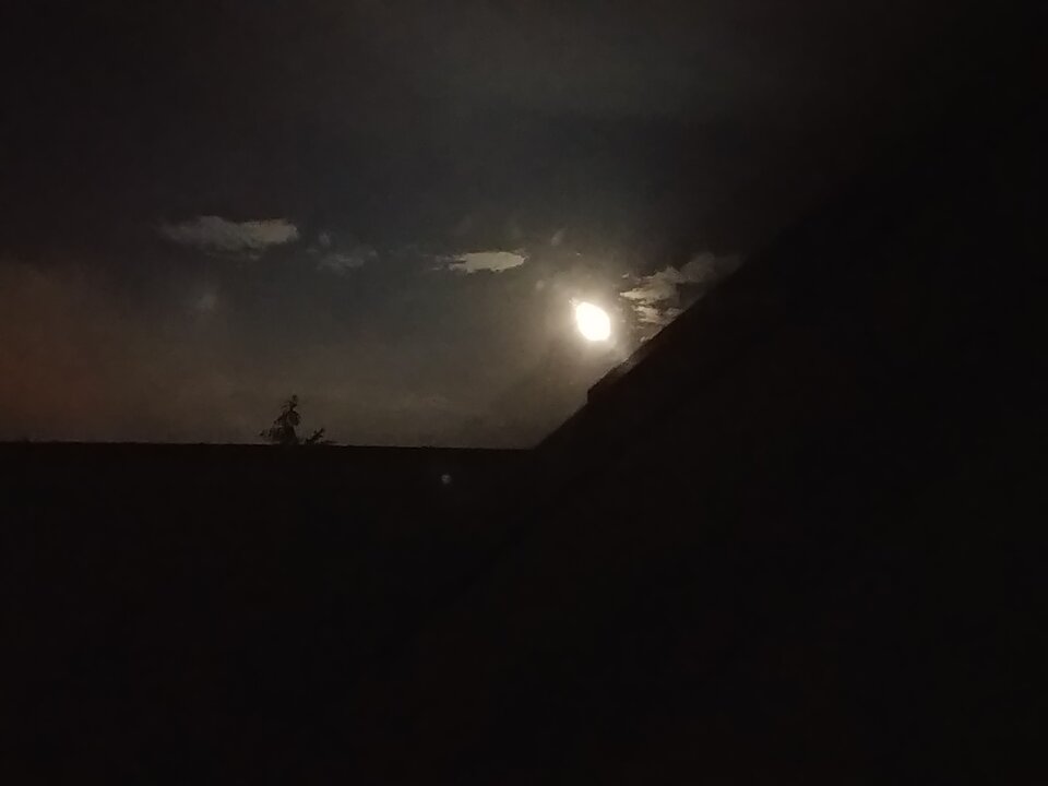 20200605_003257.jpg - NauczeCieLatac