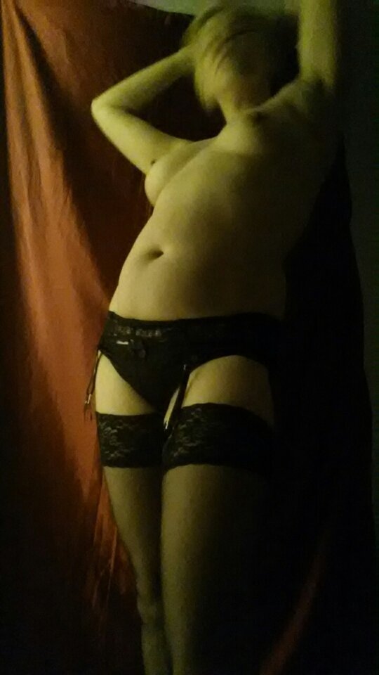 9302184.jpg - ilorob