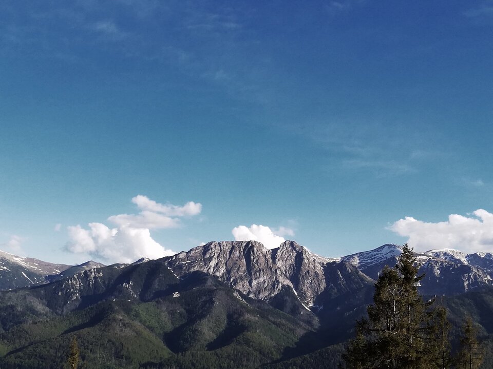 IMG_20200606_212236.jpg - sssss77