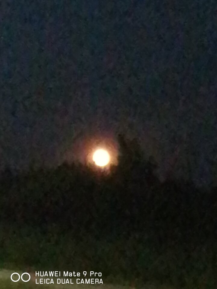 IMG_20200606_225347.jpg - faroamon6971