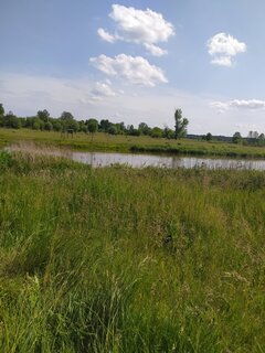IMG_20200607_152809.jpg