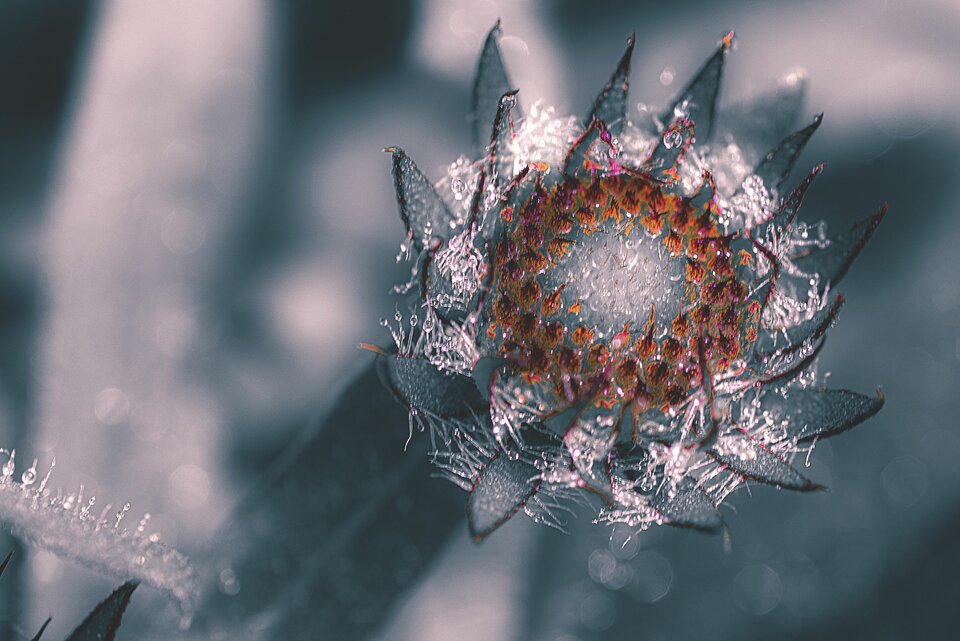 Tak trochę bez koloru - mystic