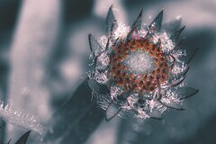 Tak trochę bez koloru