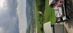 20200607_154110.jpg