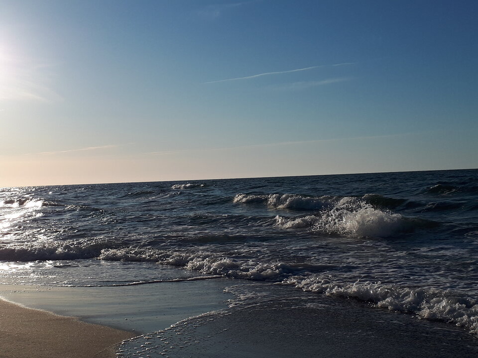 20200602_194248.jpg - Miky40