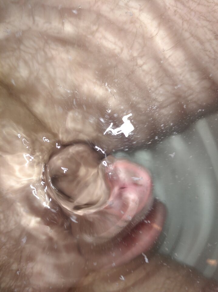 chyba się posikał - RPGfan