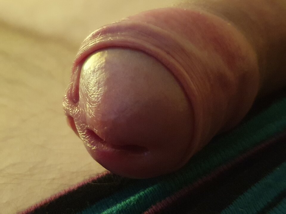 15917238794377643696686425616615.jpg - miglanc244