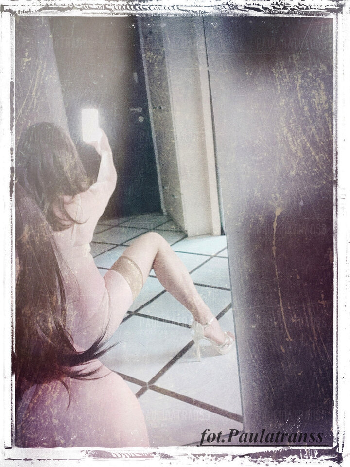 e3.jpg - paulinatranss