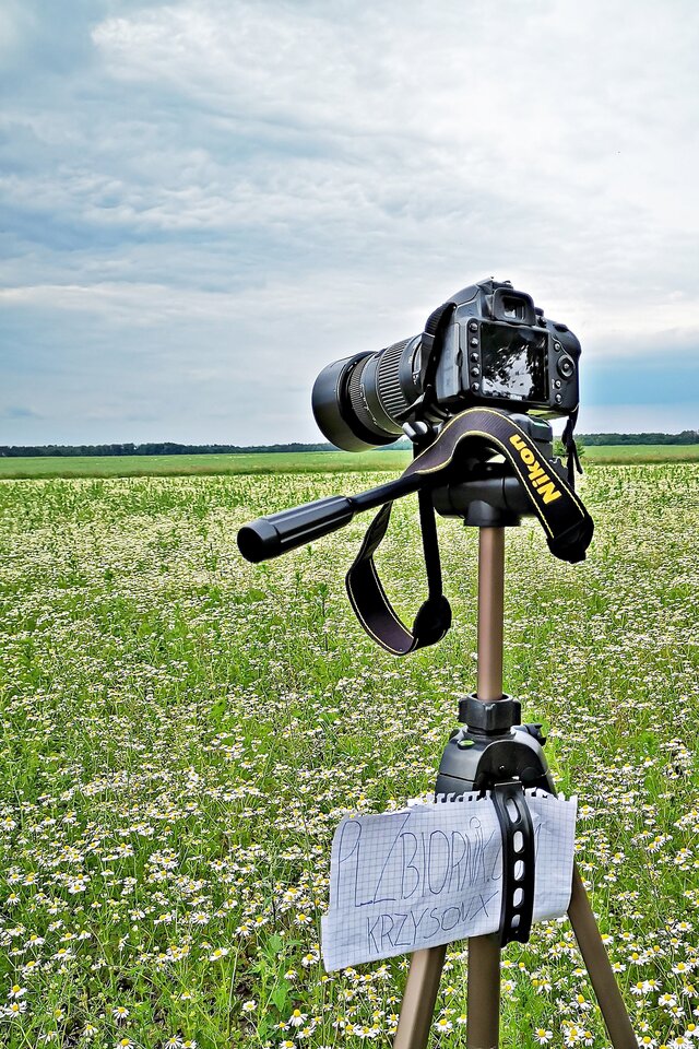 PLENER KRZYSONX - krzysonx