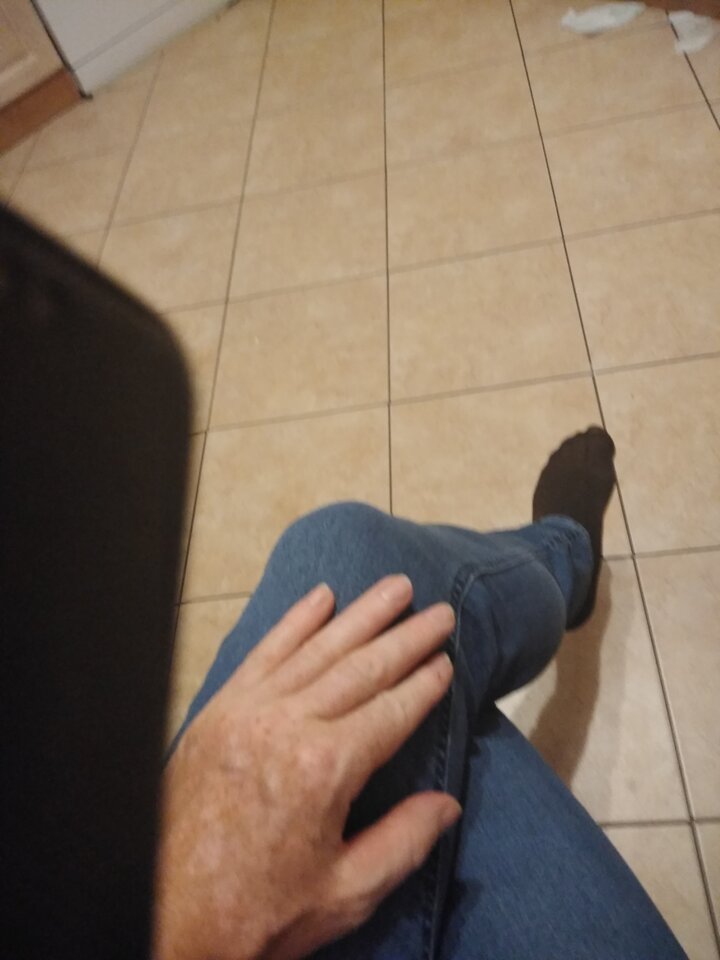 15917558878613256795296597758373.jpg - Palciusia