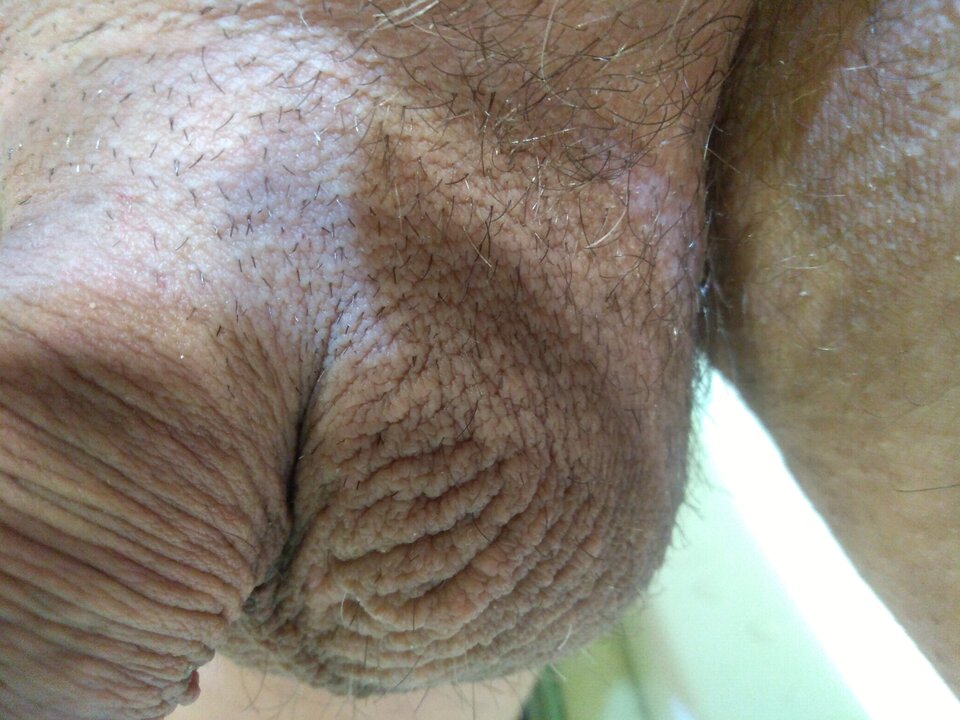 15917623262934555323892293813285.jpg - matuzalem000