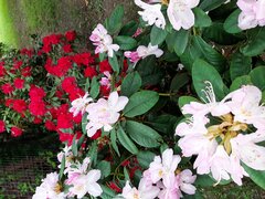 Trochę później w tym roku, ale zawsze warto czekać:-)