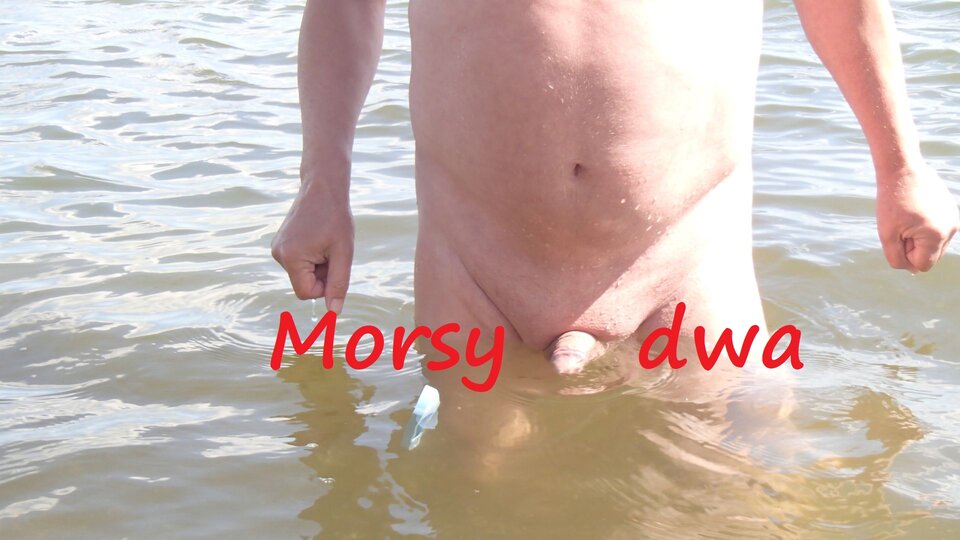 Jak zwykle !!! - Morsy_dwa