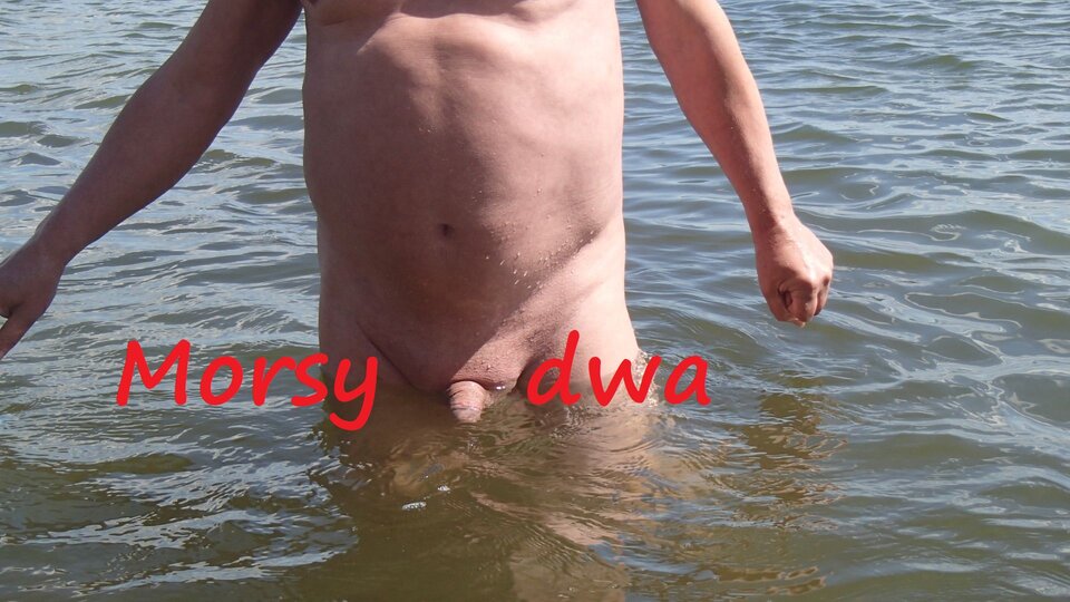 Babie Doły. - Morsy_dwa