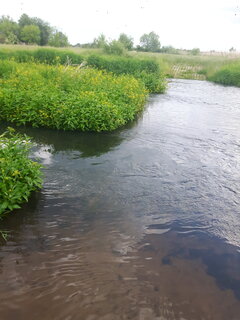 20200607_161216.jpg