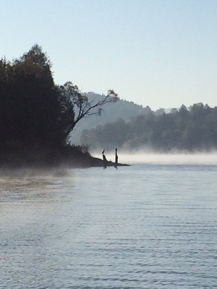 SAVE_20171001_101259.jpg - rainbow82