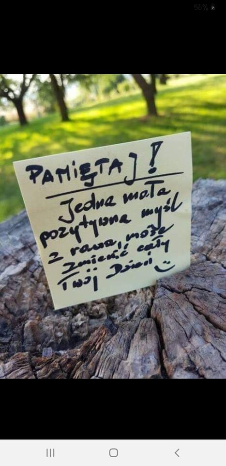 😁😁😁😁😁😁😁😁 - jacek0407