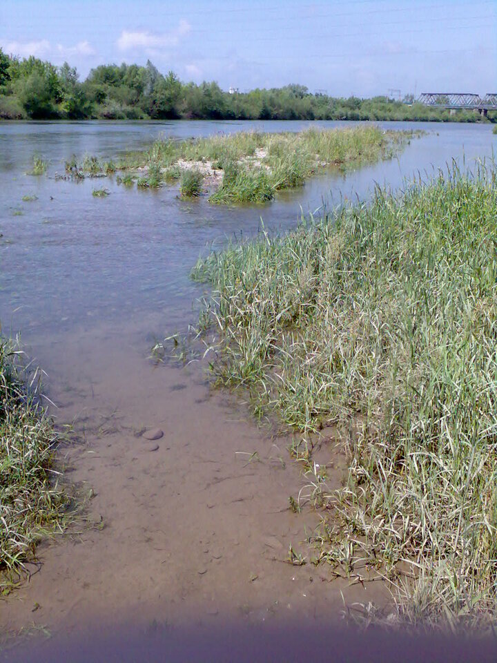 Zdjęcie071.jpg - piaszczysty00