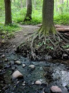 IMG_20200606_175919ac.jpg