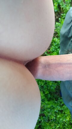 Już wchodzi , leśna przygoda 🌿🌱🌿