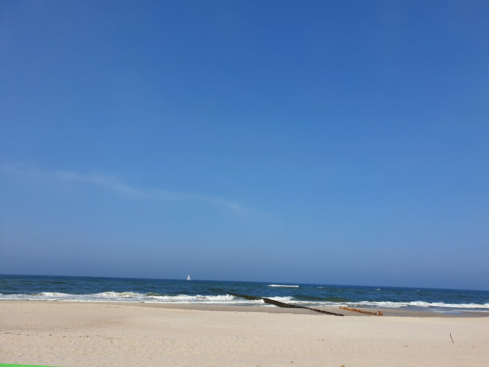 20200612_155115.jpg - OniKatowice123