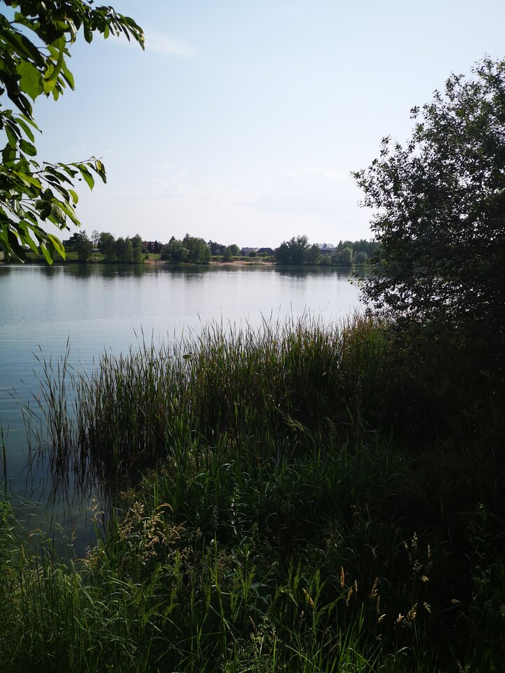 2020-06-12 16.56.20.jpg - tom6970