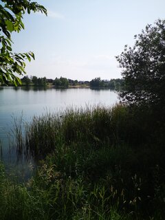 2020-06-12 16.56.20.jpg