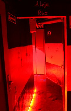 Korytarz  Kina Bizarriusz 3.jpg