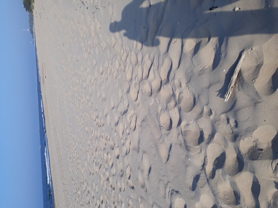 1591979415631809258571.jpg - daras55