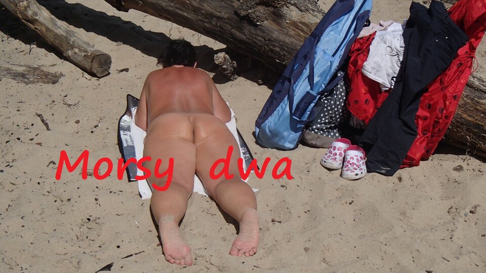 W słoneczku. - Morsy_dwa