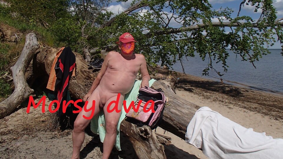 W słoneczku. - Morsy_dwa