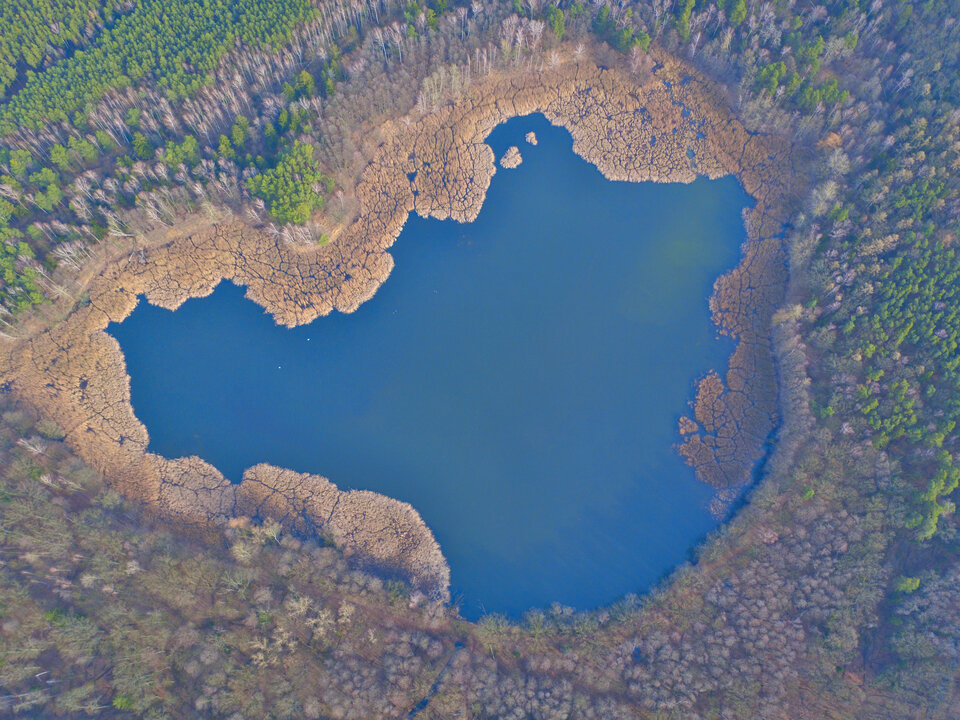 DJI_0413.jpg - FoKam431