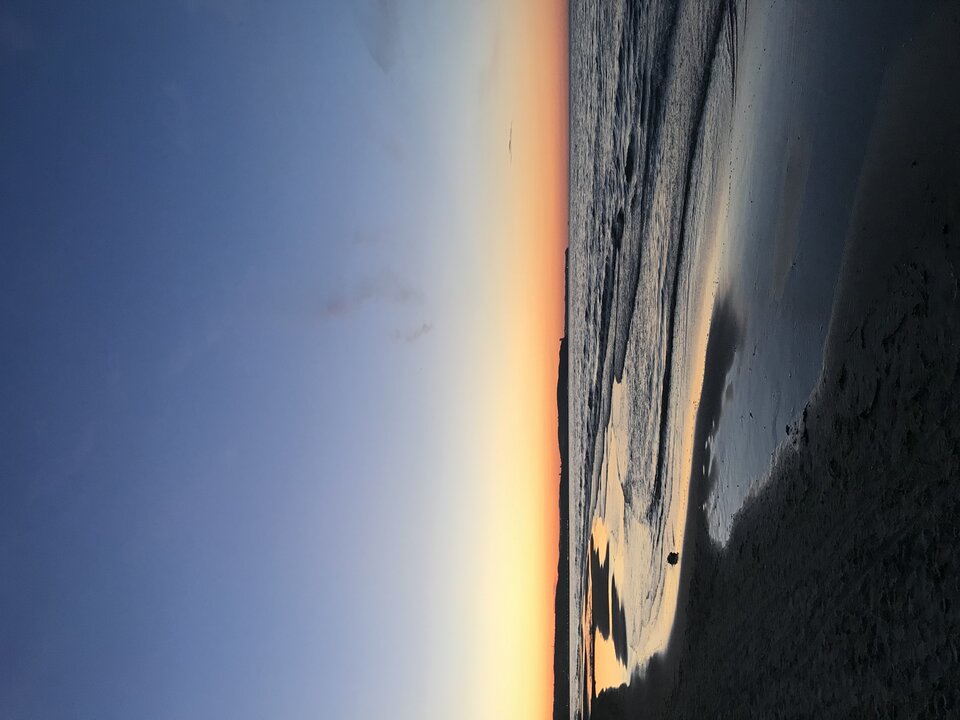 00F60553-853C-45FD-915B-FB5A9CE814F8.jpeg - OnViper